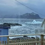 Arctic Nest