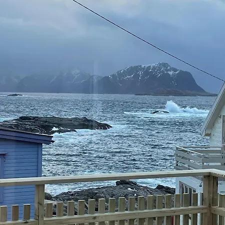 Arctic Nest