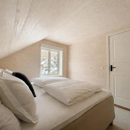 Arctic Nest *