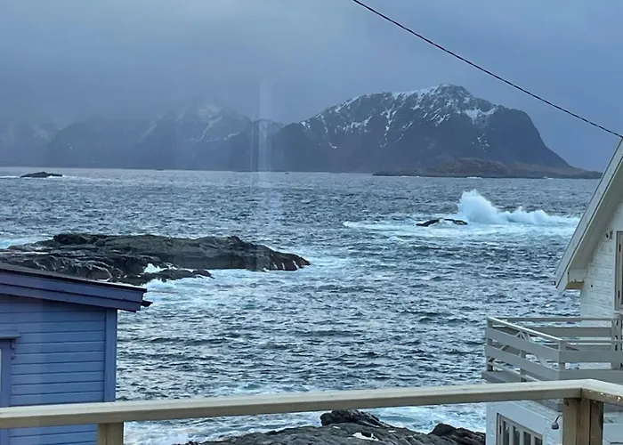 Arctic Nest